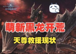 怪物猎人世界：黑龙打法及动作拆解，黑龙全武器配装