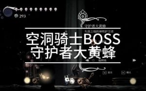 空洞骑士：大黄蜂打法技巧介绍