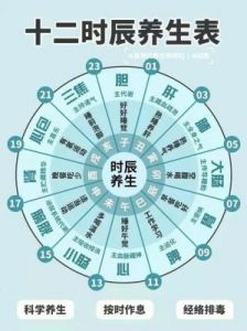 橡子屋阿黄出现时间规律解析