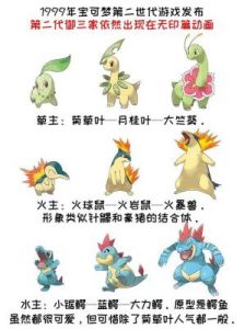 《口袋妖怪》第一至第六世代属性及资料介绍