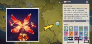 《原神》超详细爆炎树打法攻略