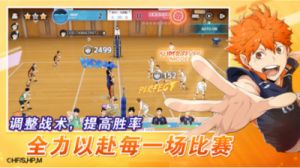 排球少年：征程新篇章最强PVP阵容搭配