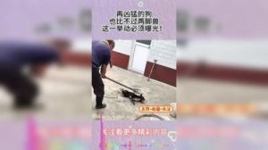 ZOOMSERVO兽狗产品优势：高效稳定的用户体验