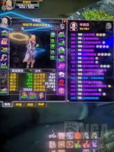 魔兽世界怀旧服精确属性增益