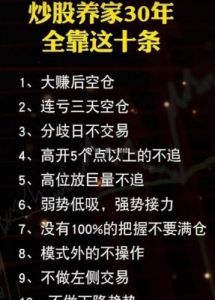 国研精华液一二三区区别：驾驶体验与舒适性对比分析