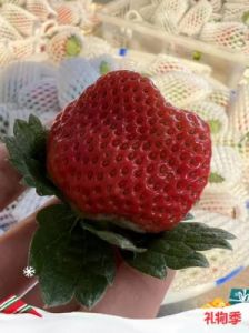 蜜丝婷大草莓和小草莓对比：五个方面全面对比：找出最适合你的护肤品！