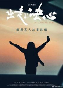 40岁阿姨荒野大镖客一电影内容：探索成熟音乐的新篇章
