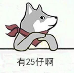 DNF25仔的含义是什么