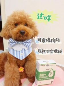 狗狗的东西又硬又烫又臭怎么办：解决狗狗用品问题