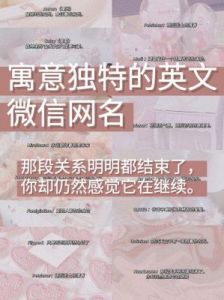 微信网名大全2022最新：微信名字与昵称2022年最新推荐