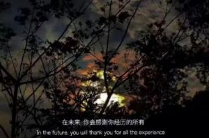 来吧儿子妈妈是你的人是什么歌曲：探索这首歌的背景和意义