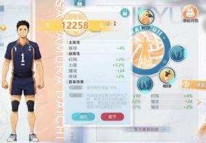 排球少年手游全攻略