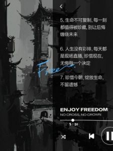 未来人生的珂金获取方法
