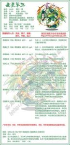《金色传说》汉娜：勇者的终结技——牛仔时刻揭秘