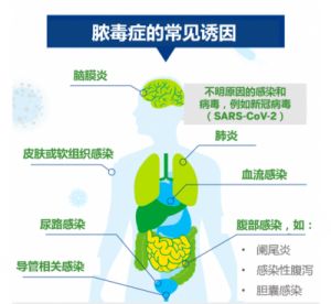 生物原型撒毒流游戏攻略：如何玩？