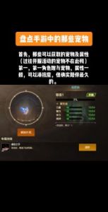 DNF宠物技能全面介绍与应用指南