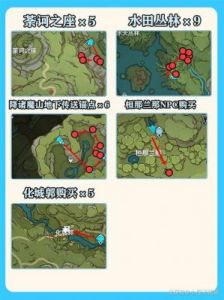 原神烛伞蘑菇最快采集路线攻略分享