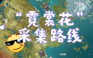 2024年最快原神霓裳花采集路线攻略