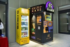 煮豆智慧园：益智趣味手游即将登陆，值得期待吗？