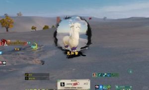 剑网3路投石奇遇攻略：获得宠物石小小方法详解!