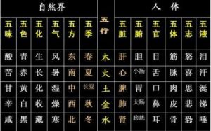 未知升变3五行属性作用与来源详解【最全攻略】