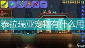 泰拉瑞亚宠物比较分析：喵法师、独角兽、巫毒恶魔和史莱姆，哪个更好？