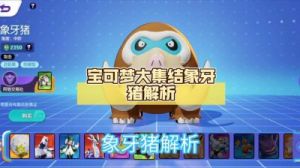 宝可梦大集结象牙猪打法指南