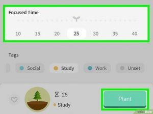 如何在Forest专注森林中设置屏幕常亮？
