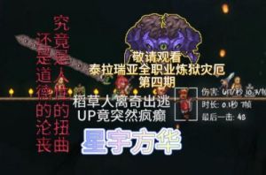 泰拉瑞亚灾厄中战士和法师职业选择攻略【2022更新】