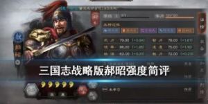 郝昭徐晃组合：稳定控伤，强大承伤