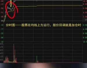 如何在东方财富APP中查看分时图，详细方法揭秘!