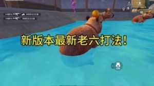 萤火突击老六流野路子打法攻略【最全总结】