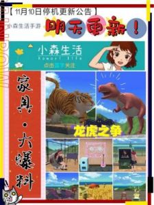 小森生活拍照玩法指南：如何在游戏中轻松拍摄优质照片？