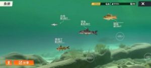 钓鱼佬净化海洋：详解钓鱼方法