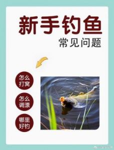钓鱼佬净化海洋：游戏中的钓鱼技巧分享