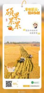 丰收之路手游：游戏评析、特点、试玩攻略和下载优惠【2022更新】