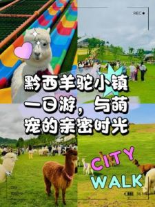 我的休闲时光新版本宠物功能详解｜萌宠乐园课程奖励大揭秘