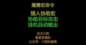 魔兽世界硬核模式猎人联盟1-60升级攻略