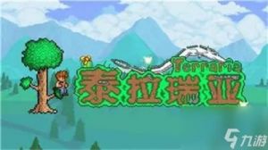 泰拉瑞亚幽灵面罩选择指南