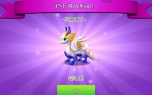 DNF宠物龙详解：火龙、水龙、冰龙、暗黑龙各具特色，哪一只更好看？