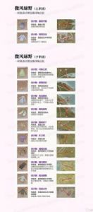 无限暖暖珍稀材料获取攻略