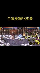 合金战士与漫游者：魅力对决【2021最新比较】