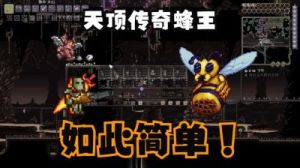 泰拉瑞亚蜂王地图寻找攻略