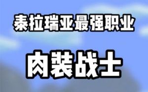 泰拉瑞亚职业选择指南：战士、法师、射手、盗贼、建筑师分析及