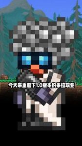 PC版与手机版泰拉瑞亚：哪个更适合你？
