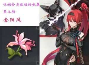 鸣潮槲生半岛溢彩画解谜攻略及2.0版本更新内容