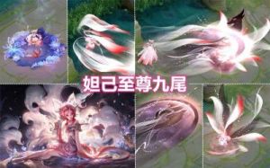 王者荣耀武则天妲己瑶无双皮肤优化详情攻略【最新】