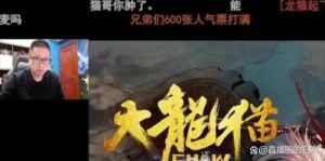 DNF大龙猫：跨区影响与意义