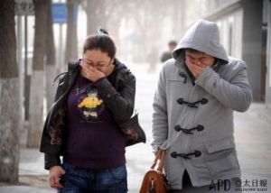 土城沙尘再起手游评析及下载攻略：值得期待的动作冒险游戏